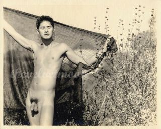 Vintage Male Nude - 8x10 Exquisite Composition Lean Figure Stretching In Nature