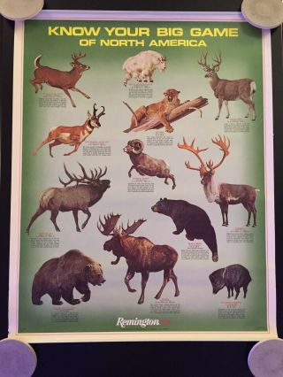Vintage 1973 Remington Arms Company " Know Your Big Game Of North America " Poster