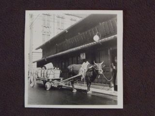 Ox Pulling A Cart With Wooden Wheels Loaded With Barrels In Japan Vtg 1951 Photo