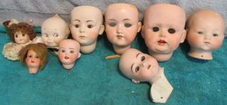 Antique Bisque Doll Heads Repros German A.  M.  Heubach - Koppeldorf Jdk Other Look