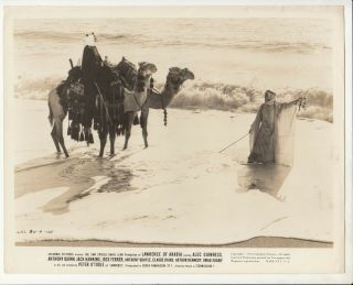 1962 Usa Columbia Pictures Lawrence Of Arabia Photo Omar Sharif 10x8.  1 Inchesd
