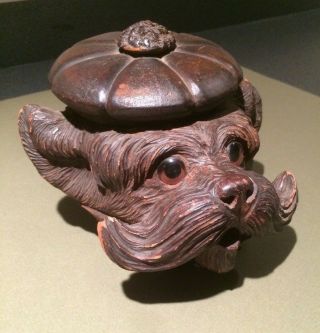 Antique Hand Carved Scotty Terrier Dog Tobacco Jar - Black Forest?