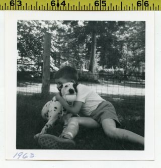 Vintage 1963 Dog Photo / Boy Hugs His Dalmation Pal With Softball In His Mouth