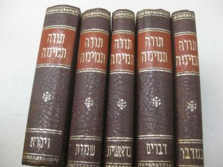 5 Vol.  Set Torah Temimah Epstein Jewish Hebrew Book Tora Temima תורה תמימה