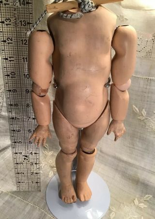 Vintage 14 " Ball Joint Composition Doll Body - For Bisque Socket Head Doll - Stand