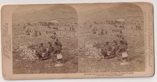 Greco - Turkish War 1897.  Authentic Stereoview Of Greek Troops On The Front Line