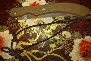 Buck Usa Made 7 - 1/4 " Fishlocker 549 Gy Lockback Lock Blade Fish Fillet Knife