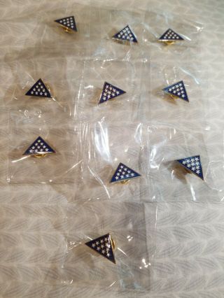 10 Memorial Flag Folded In Military Collectible Lapel Pin In Package Veteran