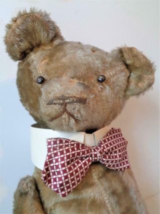 Old Antique 1910 - 20 Teddy Bear 25 " Steiff Or American Ideal Shoe Button Eyes