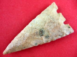 Fine Authentic Colorful 2 3/8 Inch Florida Hernando Point Indian Arrowheads