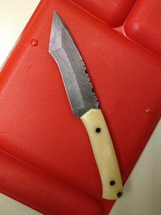 Kk 670 Custom Made Damascus Steel Hunting Knife | Bone Handle.  Leather Sheath.