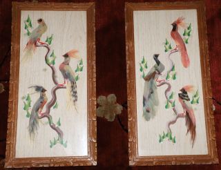 Vintage Set Of Hand Painted Bird Pictures With Real Feathers