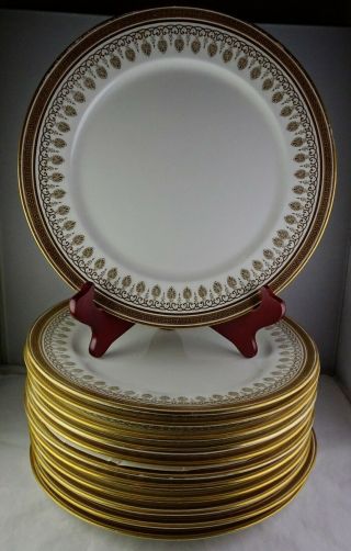 12 Royal Cauldon China H1640 Brown Westhead Moore Dinner Plates Gold Greek Key