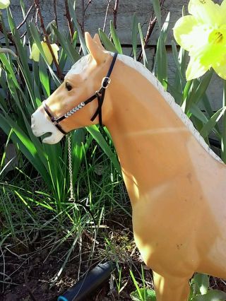 Custom One Leather Marx Johnny West Horse Handmade Halter And Lead Usa Made
