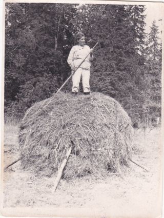 1950s Haymaking Woman With Scyphe On The Stack Of Hay Russian Soviet Photo