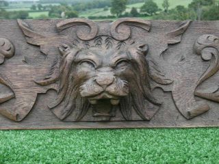 19thc Gothic Oak Carved Panel With Lion Carved Centrally C.  1870