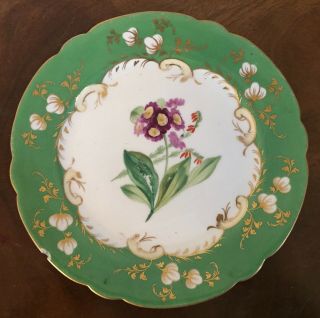 Antique 19th C.  English Porcelain Hand Painted Botanical Plate Primrose Green
