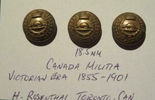 Canada Militia Victorian Era Trio Of H Rosenthal 18.  5mm Brass Uniform Buttons