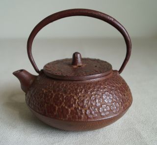 Japanese 350ml Iron Teapot Kettle Nanbu Tetsu Kyusu