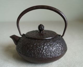 Japanese 300ml Iron Teapot Kettle Nanbu Tetsu Kyusu (by Kyu)