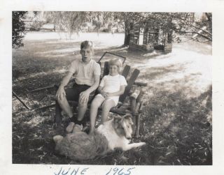Vintage Photo Cute Kids Sitting With Collie Dog Adorable Puppy Pet Best Friends