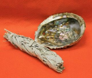 Smudging Sage With Abalone Shell Bowl For Cleansing Negative Energy