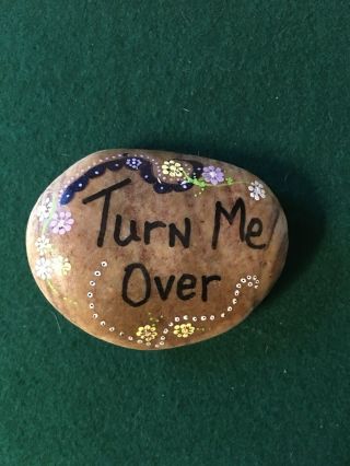 Hand Painted Rock Turn Me Over Reverse You Just Took Orders From A Rock