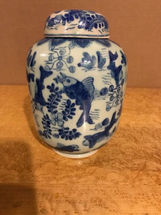 Chinese Blue And White Celadon Porcelain Ginger Jar Fish Motif 7”