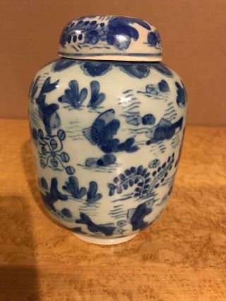 Chinese Blue and White Celadon Porcelain Ginger Jar Fish Motif 7” 2