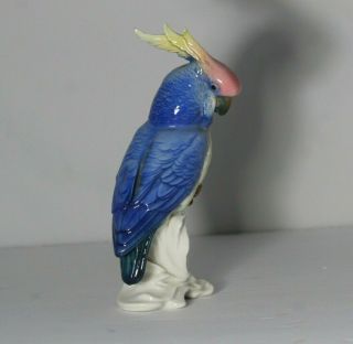 Antique Early 20thc Karl Ens Volkstedt Cockatoo Parrot Porcelain Bird Figurine