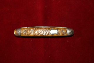Early Vintage A.  W.  Wadsworth & Son 4 Blade Pocket Knife W/jigged Bone Scales