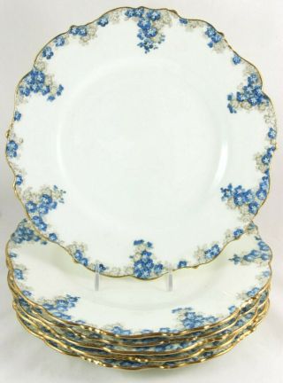 Set 6 Dinner Plates Antique Cauldon China K4983 Blue Raised Enamel Flowers Gold