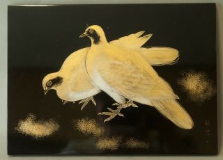 The Amount Of Lacquer.  Signed.  Gold And Black.  Pigeon.  Bird,  Japanese Vintage