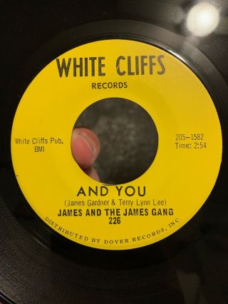 James And The James Gang And You Rare Garage Psych Folk 45rpm