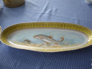 Antique Victoria Carlsbad Porcelain Fish Platter,  12 plates,  sauce boat Austrian 3