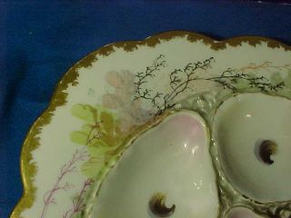 19thc VICTORIAN Era Porcelain OYSTER PLATE w Seaweed Decoration etc 2