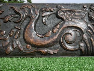 19thc Gothic Oak Panel Carved Panel With Winged Gargoyle Lt Facing C.  1860