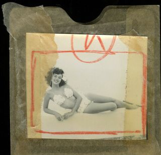 Bunny Yeager C.  1960 Pin - up Camera Negative Photograph Pretty Pin - up Dolly Murcia 3