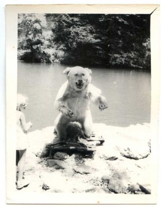 Russian Soviet Vintage Amateur Photo Stuffed Bear Monument Girl
