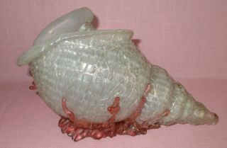 Antique Loetz Austria Zephyr Chine Conch Shell Sculpture Vase Rare 9 3/4 