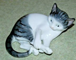 Vintage Pfeffer Gotha Germany Porcelain Cat Kitten Figurine