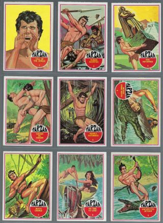 1966 Philadelphia Banner Production Tarzan Trading Cards Complete Set Of 66 Exnm