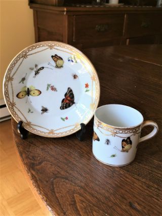 Antique Paris Porcelain Butterfly Cup & Saucer