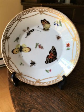 Antique Paris porcelain butterfly cup & saucer 2
