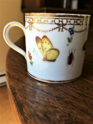 Antique Paris porcelain butterfly cup & saucer 3