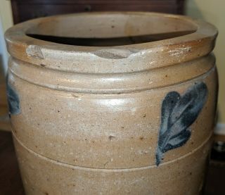 Antique American Blue Decorated Stoneware Crock Mid - Atlantic Baltimore Salt. 3