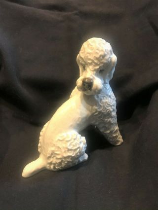 Rosenthal Porcelain White Poodle Dog Figurine F.  Heidenreich Vtg Made In Germany