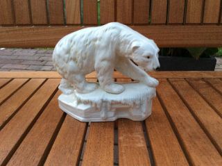 Volkstedt Dresden Sitzendorf Porcelain Coloured Polar Bear Very Seldom Item