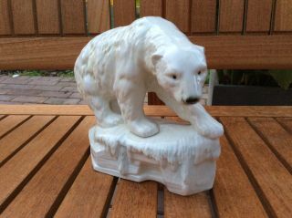 volkstedt dresden sitzendorf porcelain coloured polar bear very seldom item 2