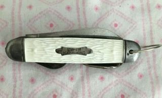 Rare White Camp King Scout Knife - Scales,  Good Blades,  With Bail Loop